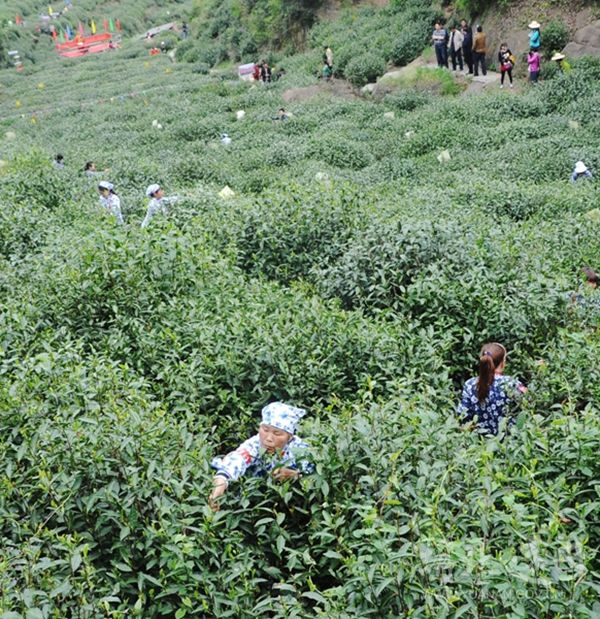 20160410202652564.jpg DSC_6289_副本.jpg